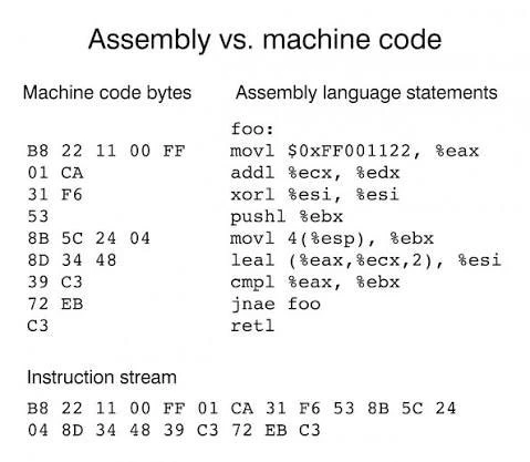 🌎 Raspberry Pi Assembly Language Programming: ARM Processor Coding, 2nd Edition. Steph...
