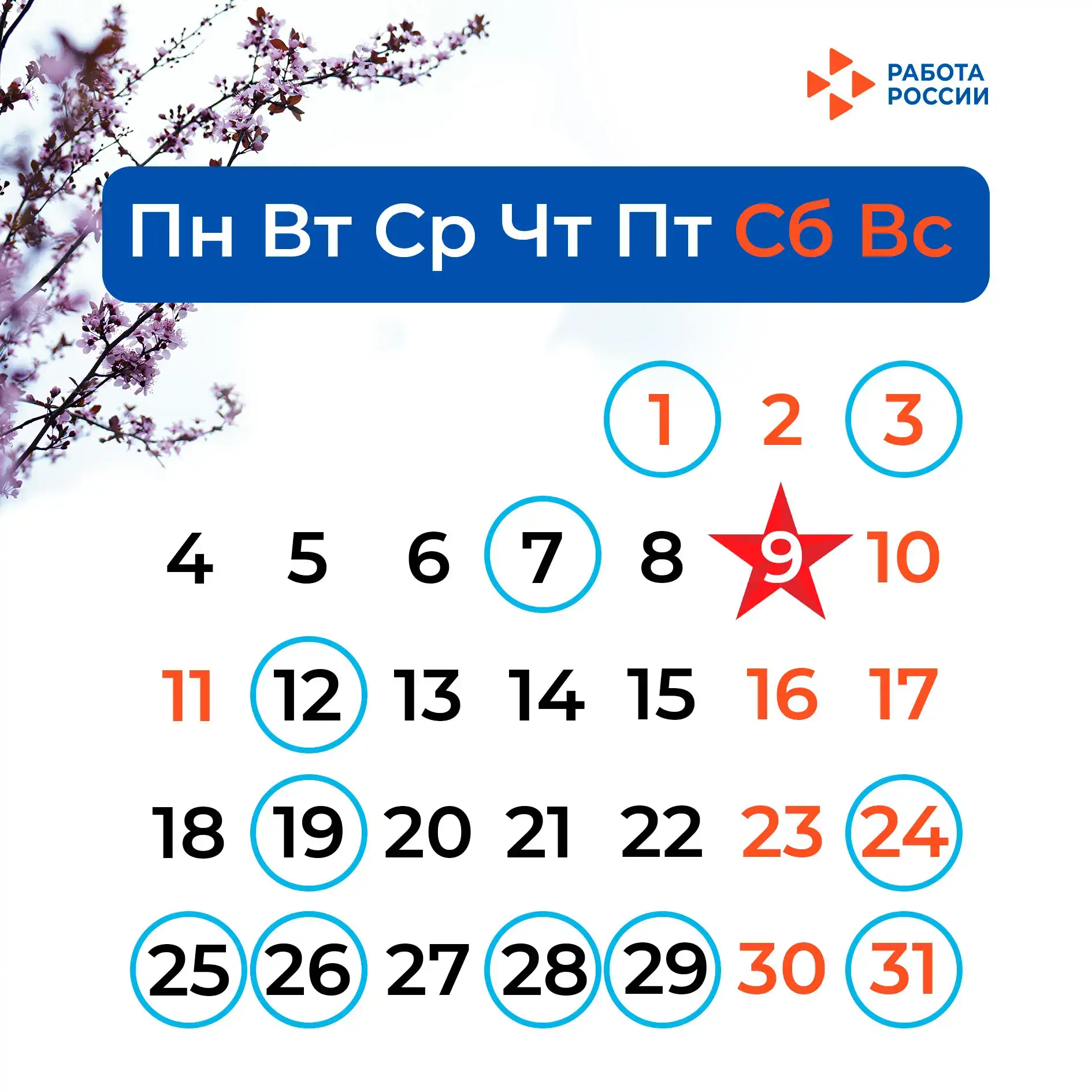 🗓️ Майские праздники и профессиональные дни: сохраняйте шпаргалку с важными датами!  В мае нас ждут 