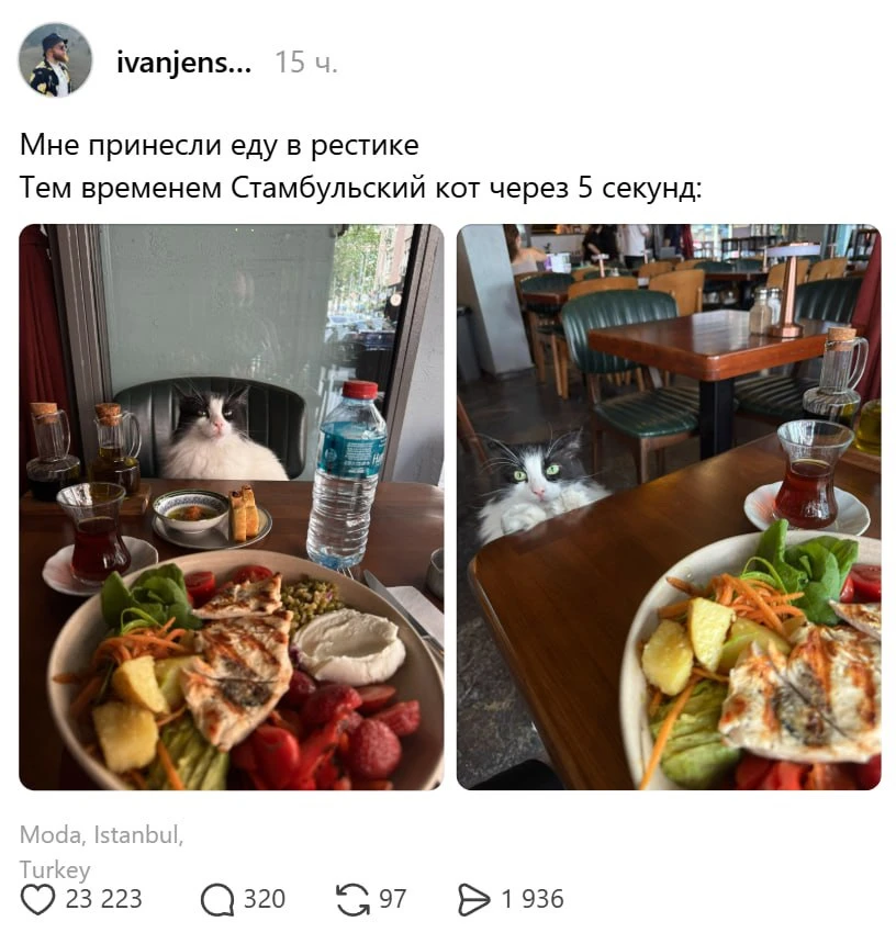 Он просто ждал, пока ему закажут еду.

Вопросы?