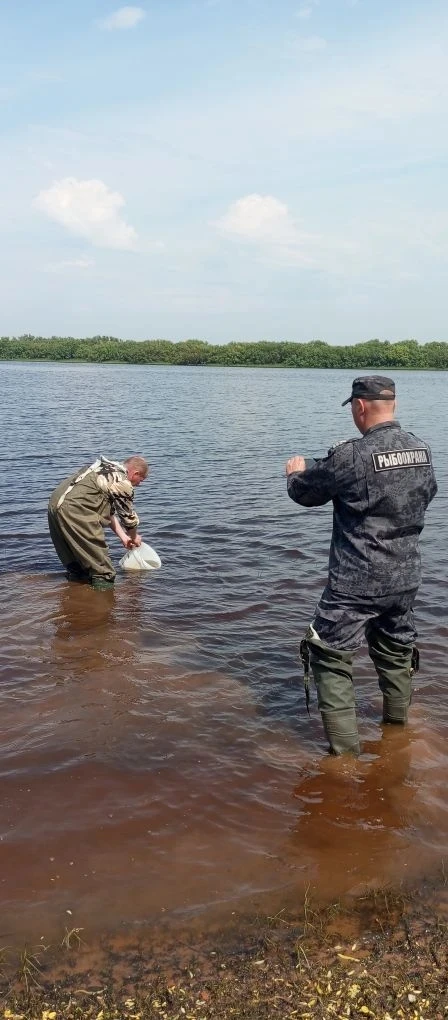 🐟Специалистами Старорусской районной ветеринарной станции проведено обследование места...