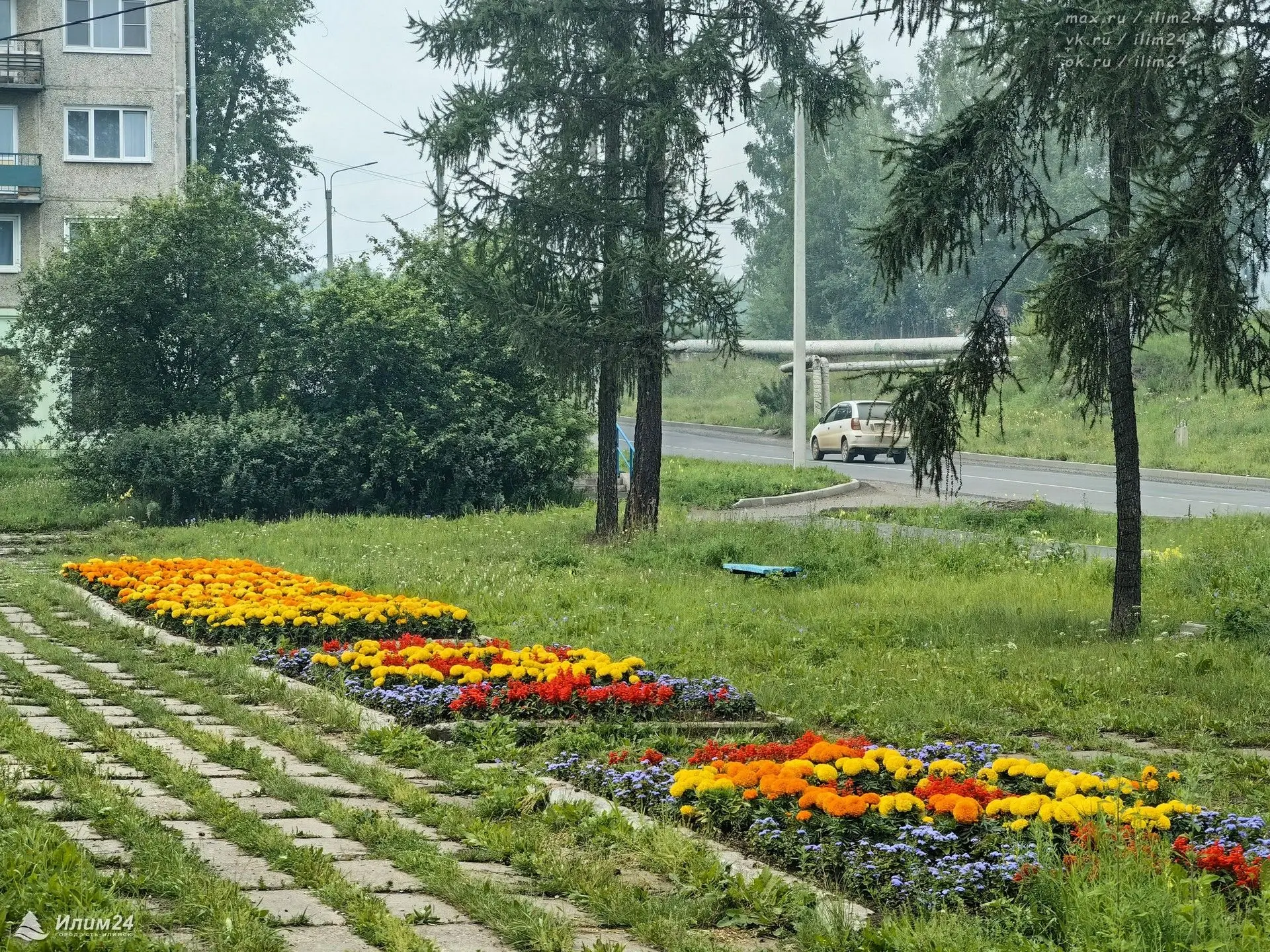 Усть-Илимск в августе. Улица 50 лет ВЛКСМ в районе ТЦ «Таёжный» 💐