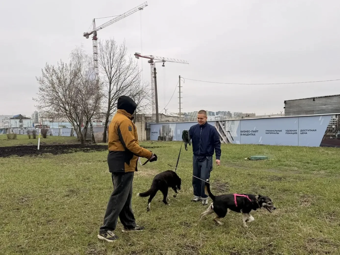 Всероссийская акция «Носики первых»: наши студенты подарили заботу приюту «Бескудниково»   🐕 В рамка