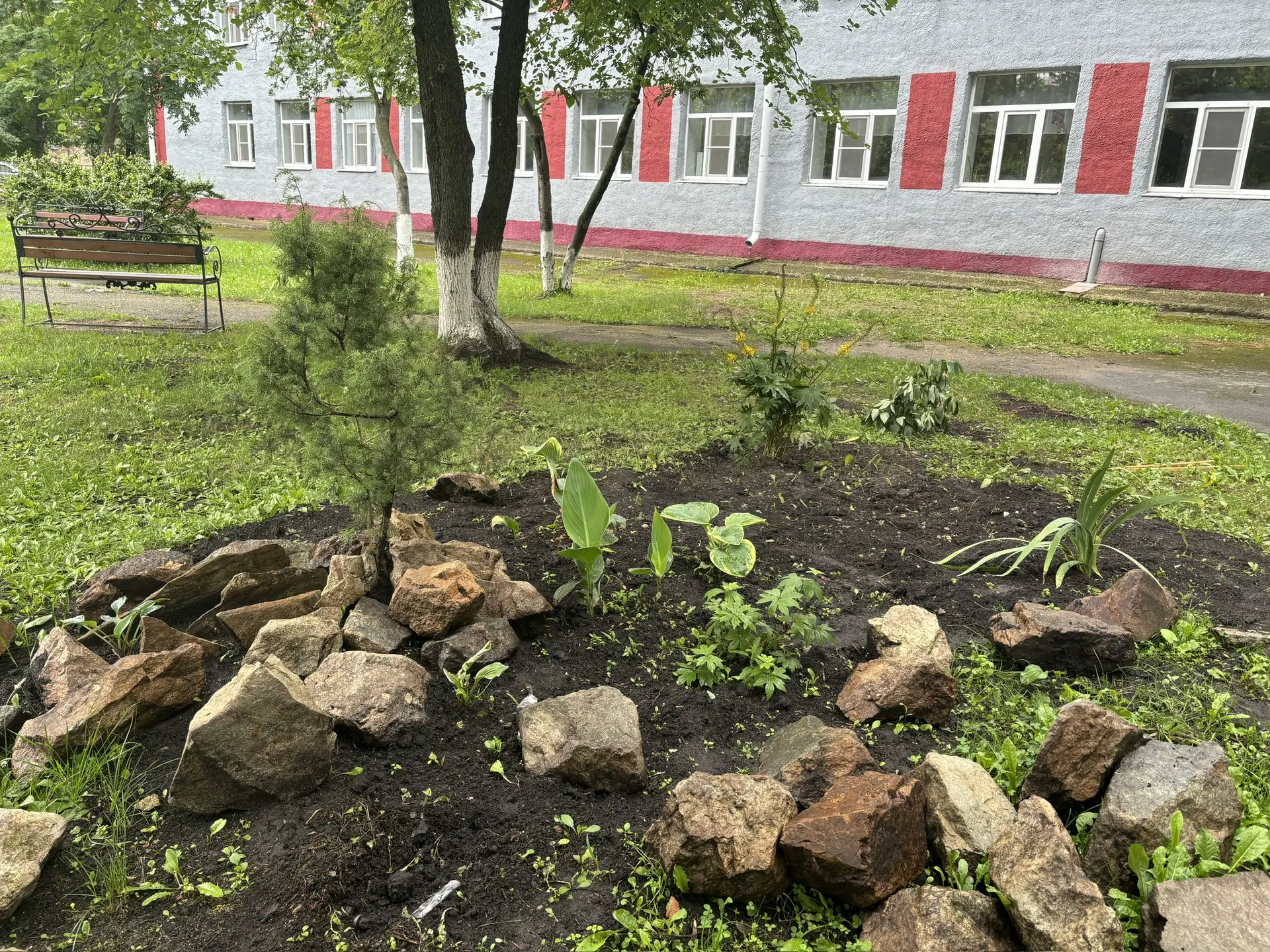 Красота нашего школьного участка: результат труда учеников и учителя! 🌿🌼

Дорогие друзья!

Мы рады