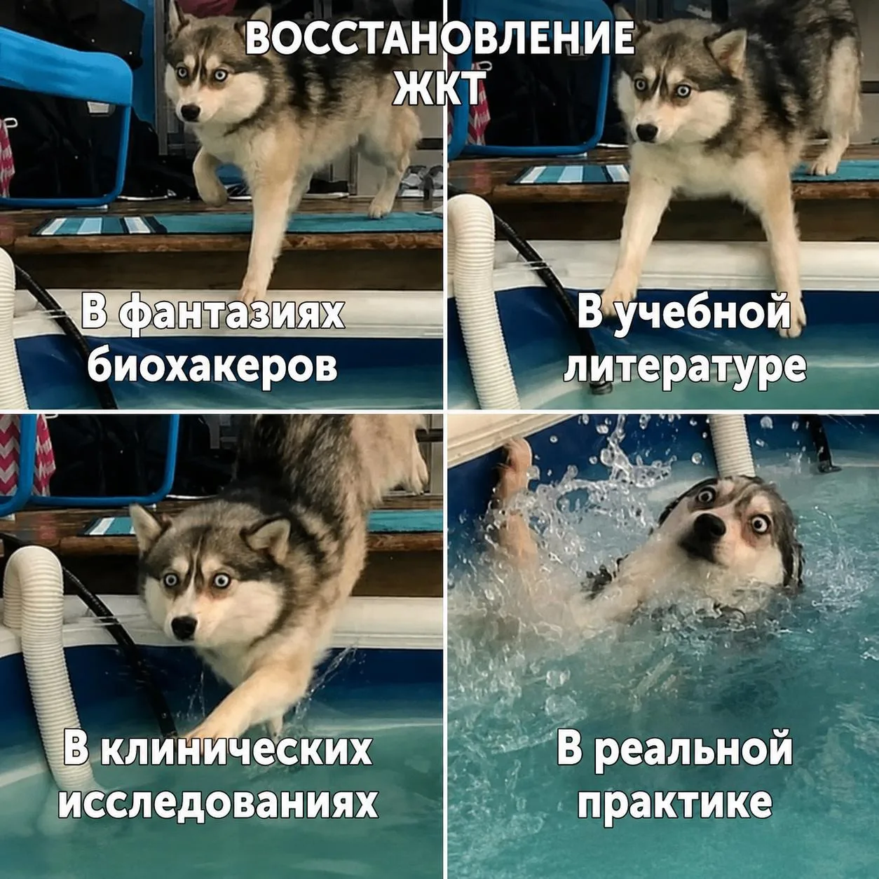 5 ОШИБОК В ВОССТАНОВЛЕНИИ ЖКТ

На этом спотыкаются многие, когда берутся восстанавливать ЖКТ 👇

1️⃣