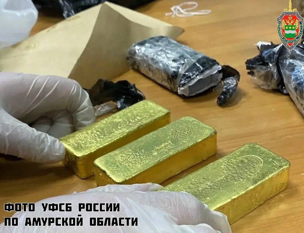 Житель Приамурья осужден за попытку переслать в Новосибирск три золотых слитка на 55 мл...