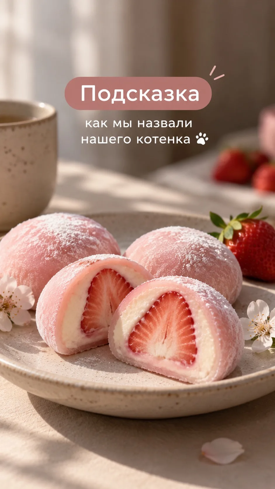 Наконец-то определились с именем🐾 мне кажется ему идеально оно подходит 😍