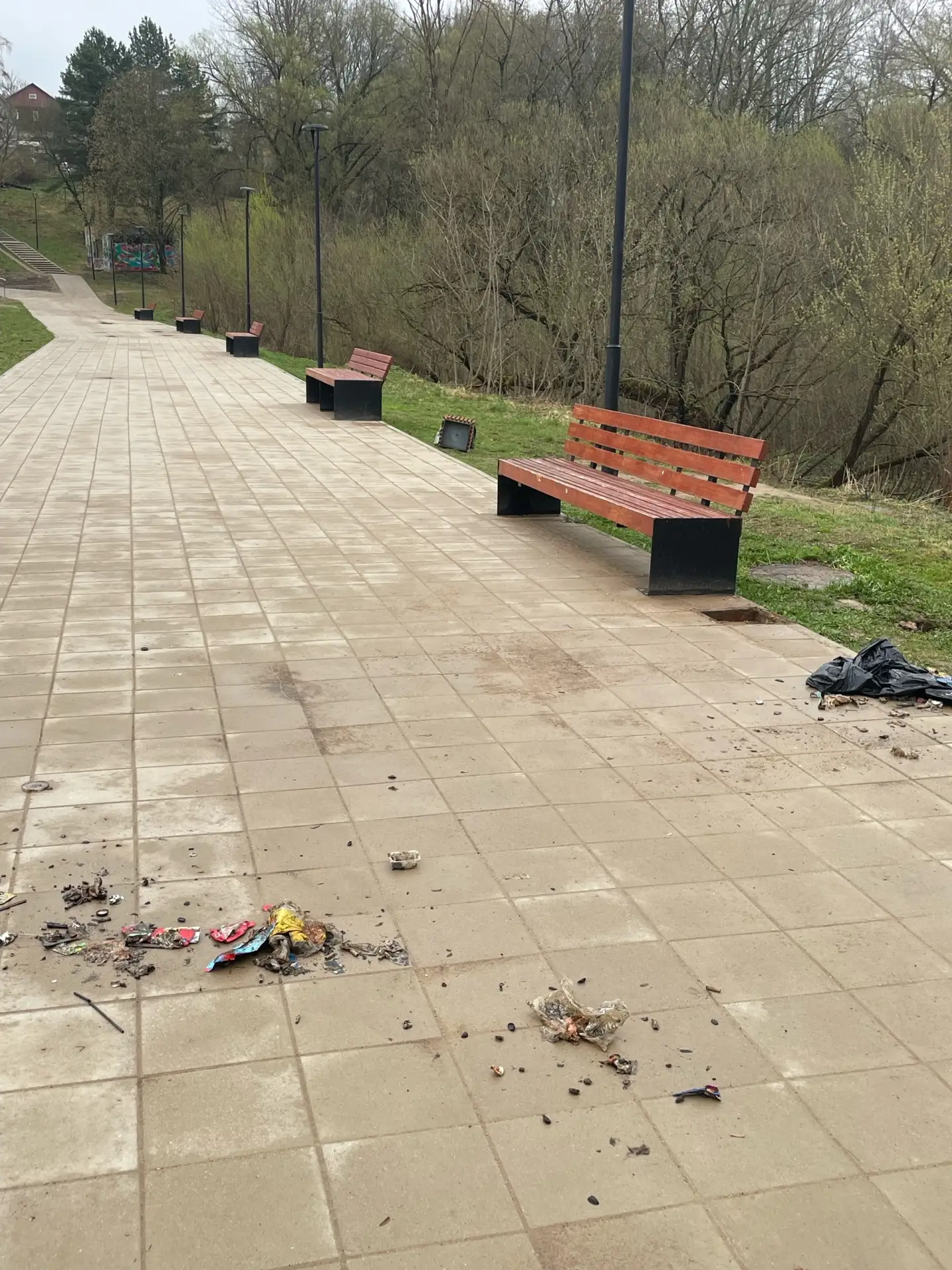 Вандалы разгромили мусорки на Солдатском озере   На Солдатском озере в Смоленске недобросовестные жи