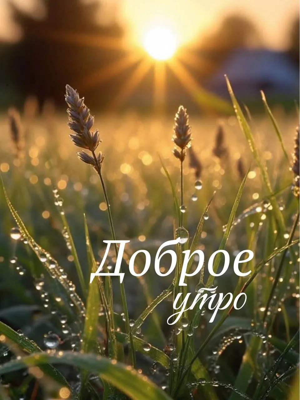 🌅 Доброе утро, Москва!