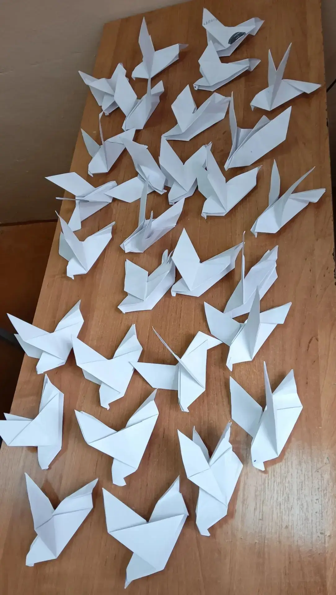 🕊️ Сегодня наши ученики приняли участие в акции «Голубь мира»! 🕊️