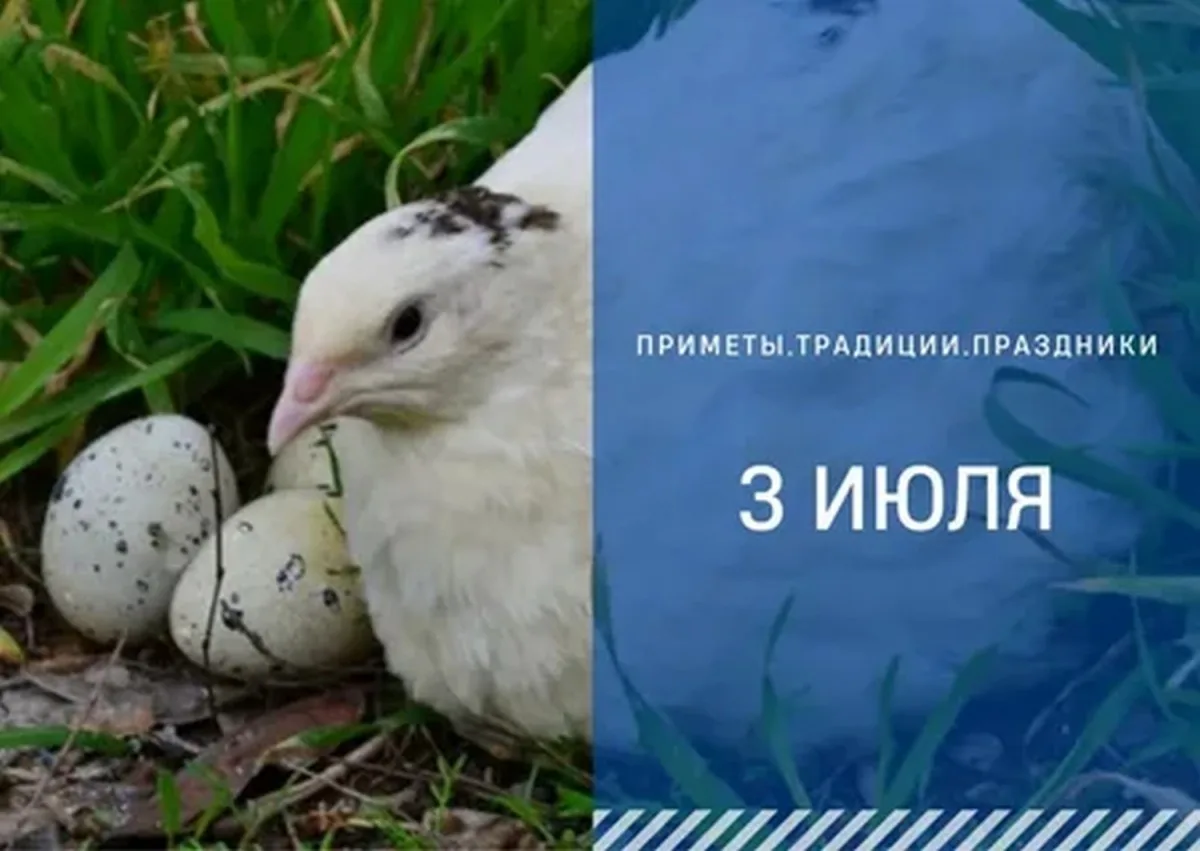Народные приметы и традиции на 3 июля:

🔹В этот день часто бывают грозы и гром. По приметам дождь с