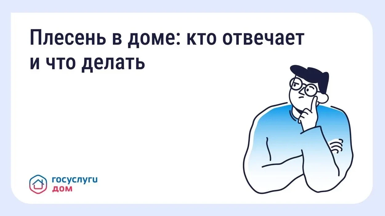 Что делать, если в квартире появилась плесень?