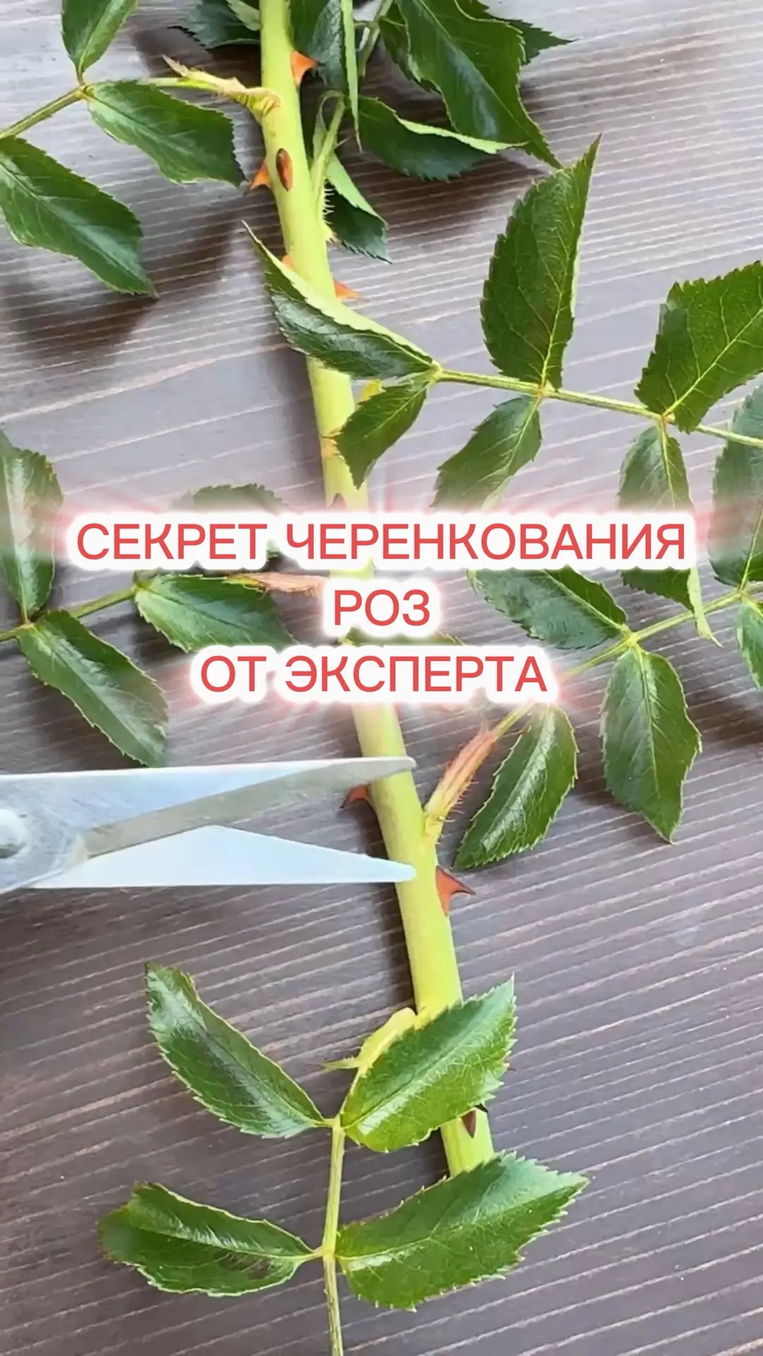 Продолжаем разговор😁…