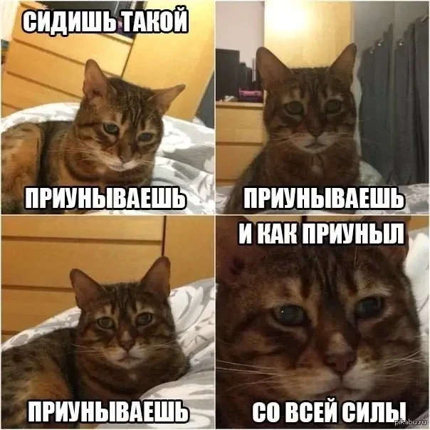 Сегодня отмечается День запрета на уныние 🤪