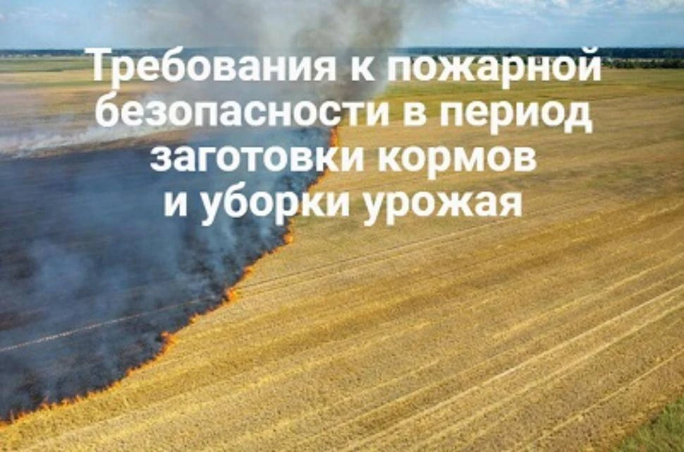 в полевых условиях вне специальных площадок, оборудованных средствами пожаротушения и о...