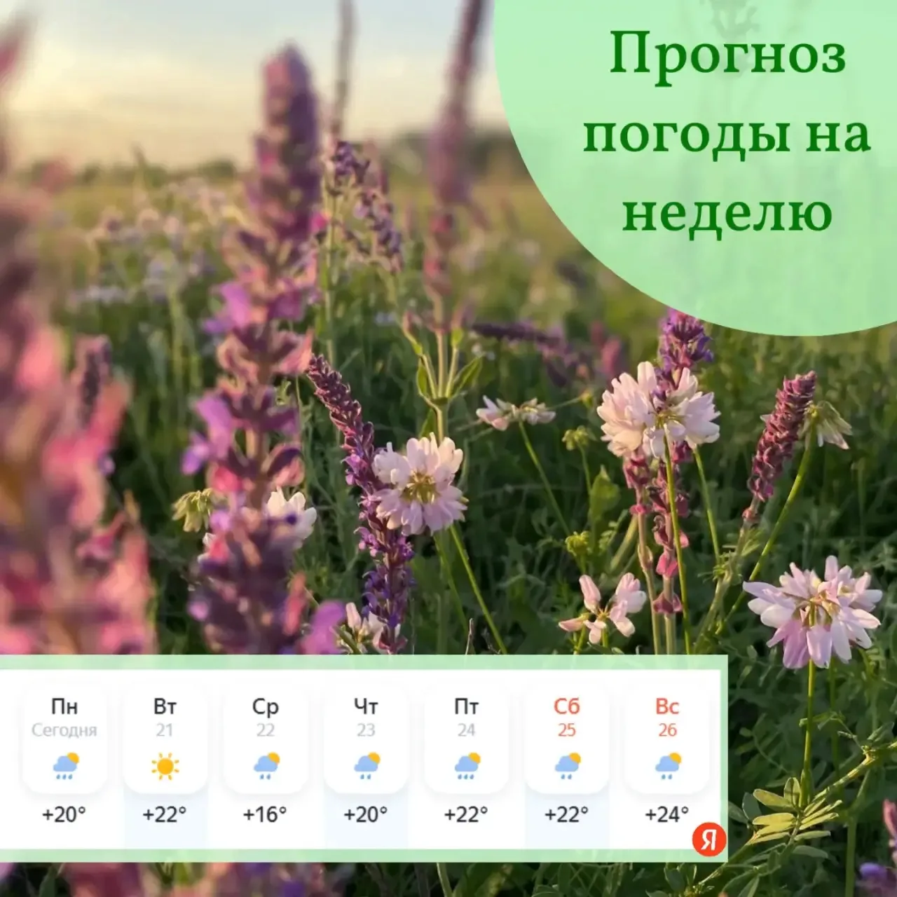 💫 Доброго утра, друзья!

Пусть погода не нарушит ваши планы и не испортит вам настроение.

Делимся 