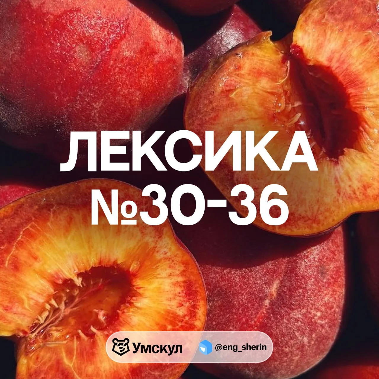 Польза по лексике для №30-36 🍐