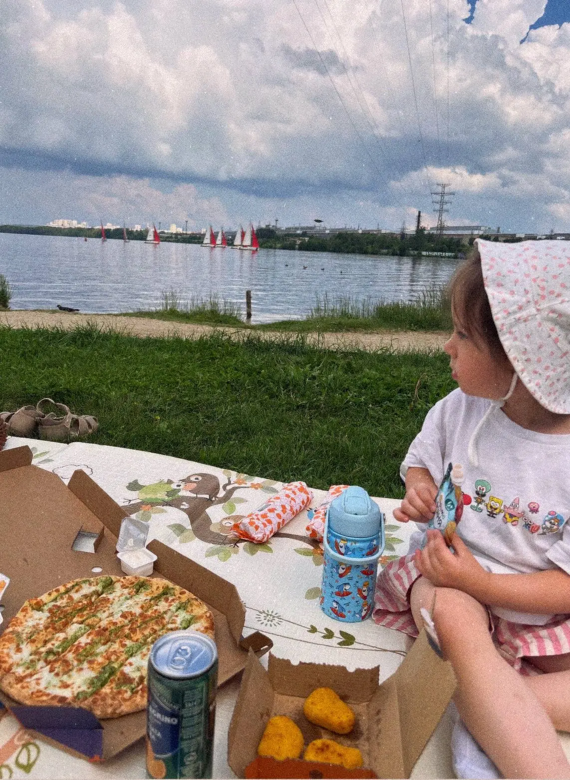 Идея на лето номер 1 : собрать семью и поехать на пикник. Конечно на природу, желательно к водичке �