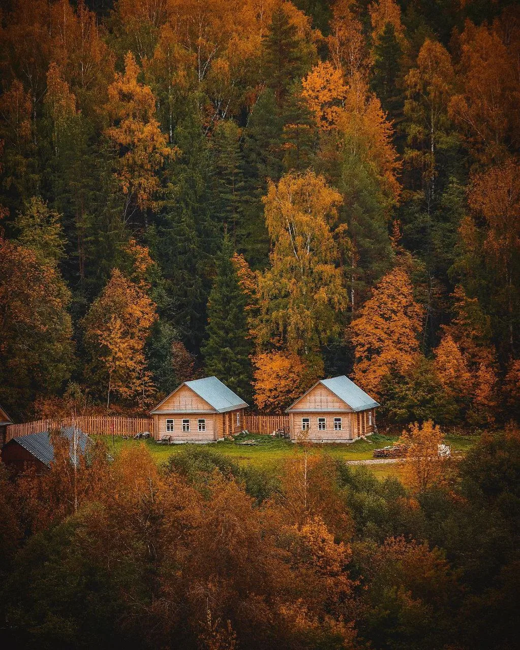 Пахнет осенью… Что-то необыкновенно грустное, приветливое и красивое…🍂