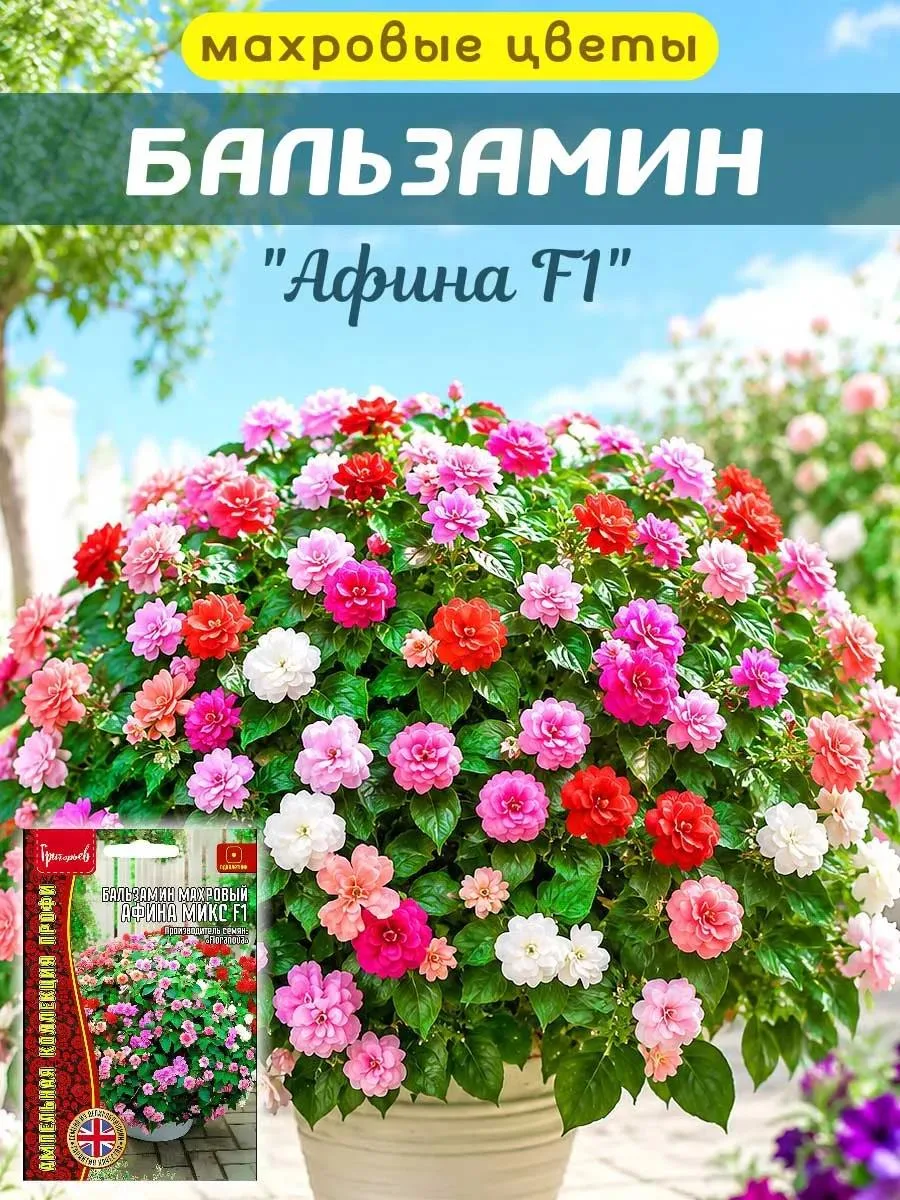 🔥 Семена цветов Бальзамин махровый Афина