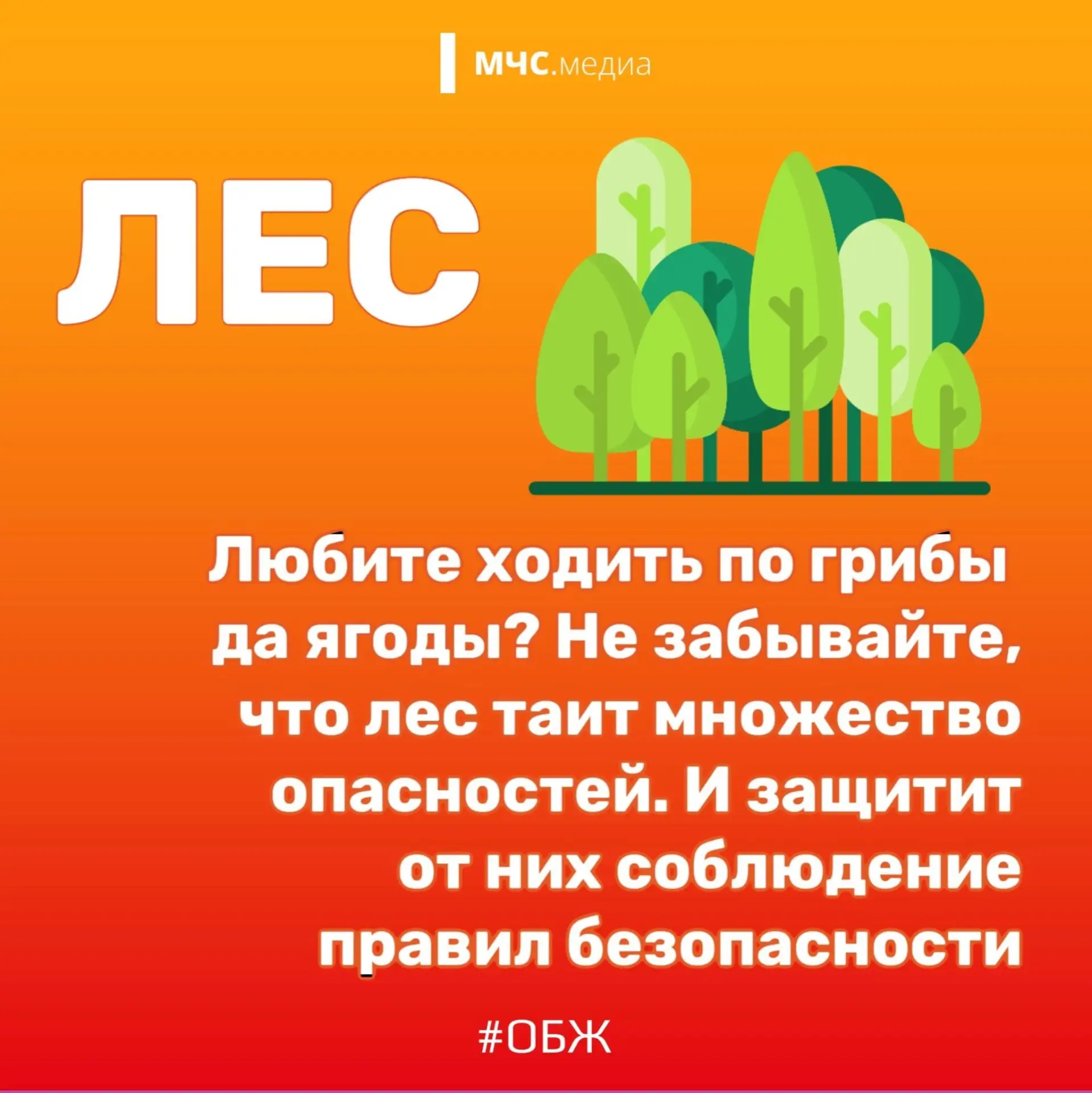 У лета, как и у любого другого сезона, есть свои не самые приятные сюрпризы. Но если о них знать, то