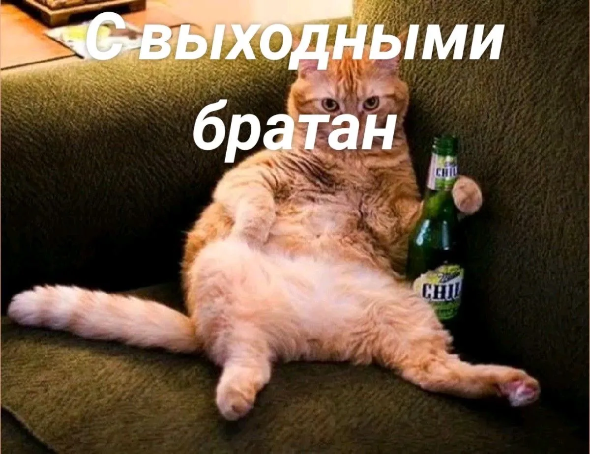 Нам сегодня можно все!