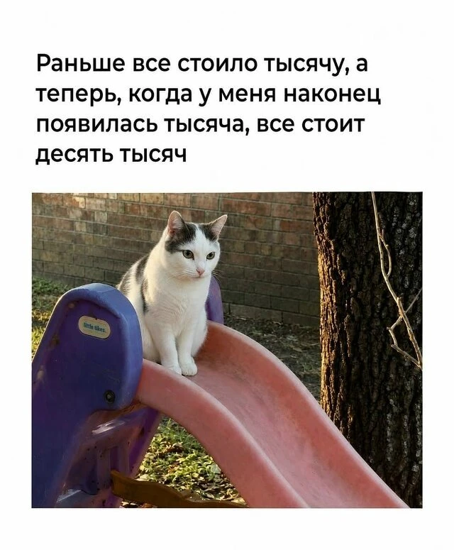 Терпи, казак, айтишником будешь.