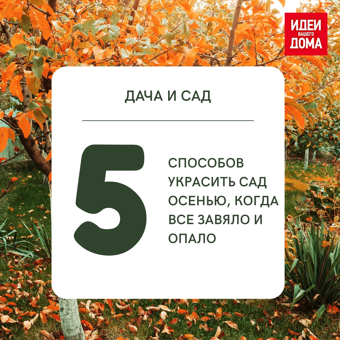 Вносим в поблекший сад яркие краски с помощью растений, декора и освещения.