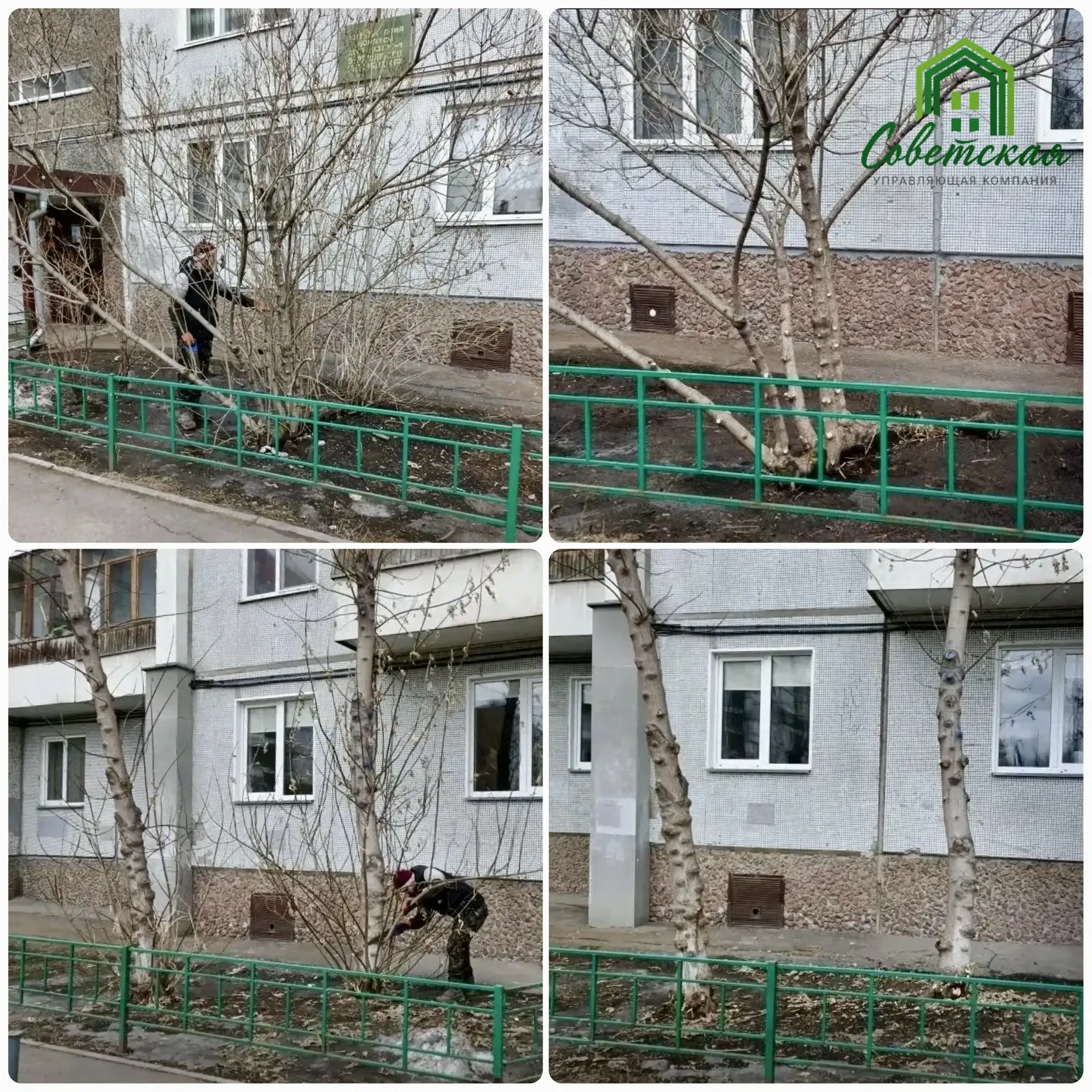 Солнце всё ярче, дворы оживают, а мы не теряем времени даром. Пока жители наслаждаются ...