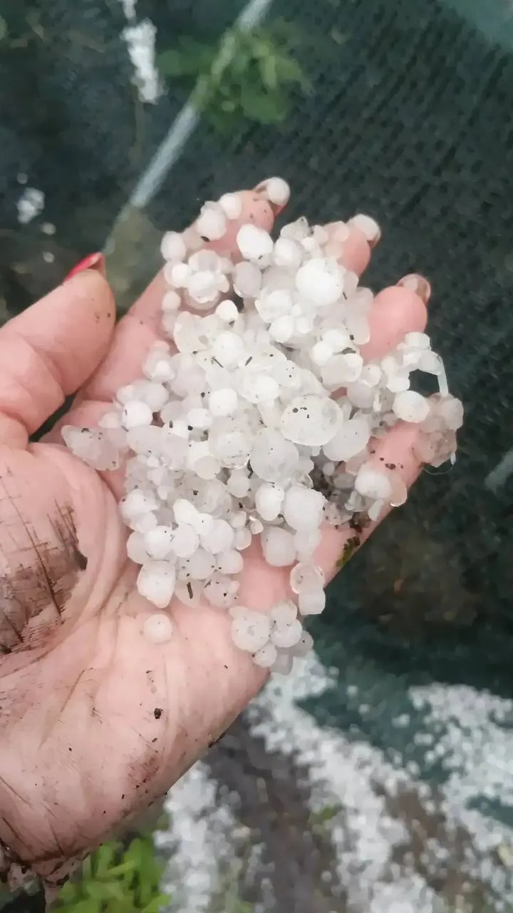 ❄️Острогожск засыпало градом

Лето, ты в курсе, что ты лето?