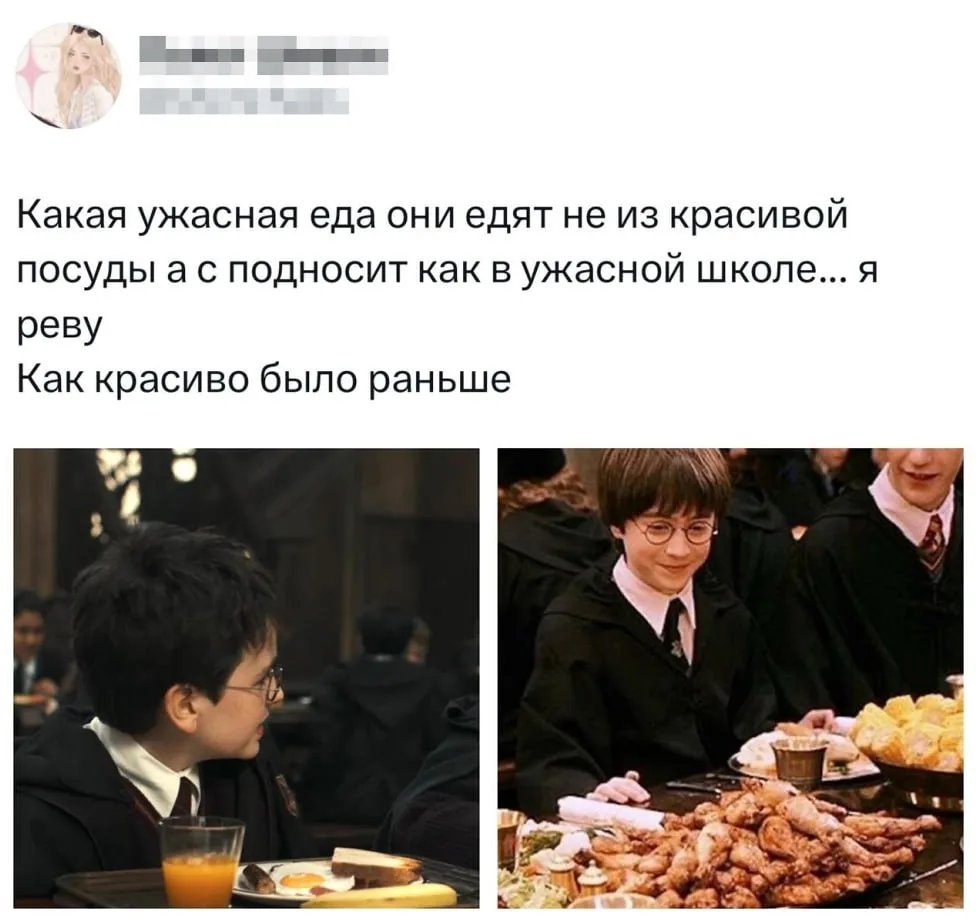 Существуют и такие нарекания к сериалу «Гарри Поттер».