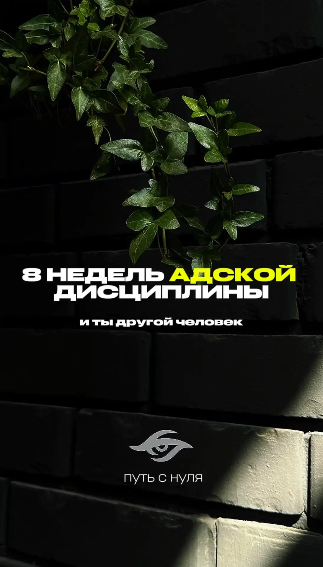 Первая часть⚡️