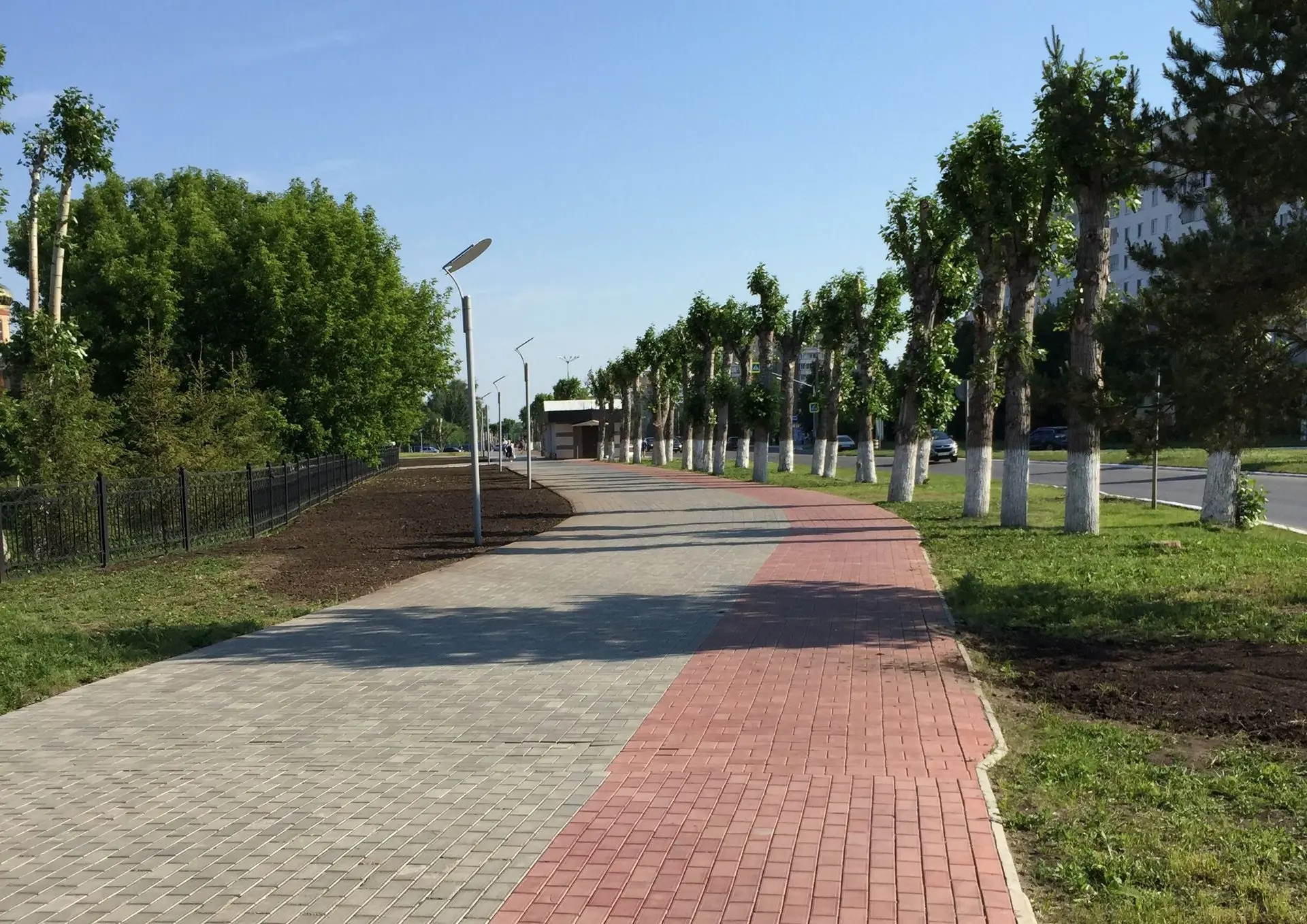В Нижнекамске на велодорожках могут установить «лежачие полицейские» и запретить сервис...