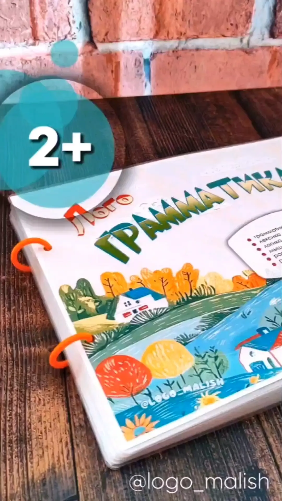 "ЛогоГрамматика 2+" для детей от 2х лет.