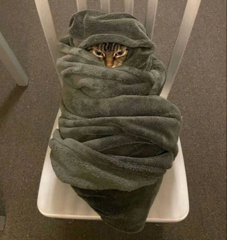 🥶 В начале октября похолодает до -5°C