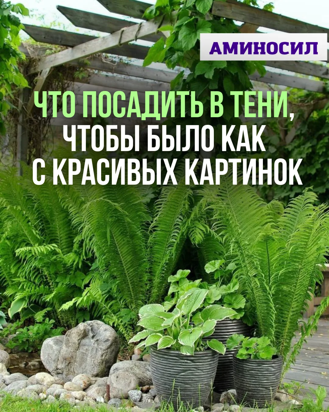 Тень в саду — это не минус, а возможность создать особенное, уютное пространство 💚  Если на участке 