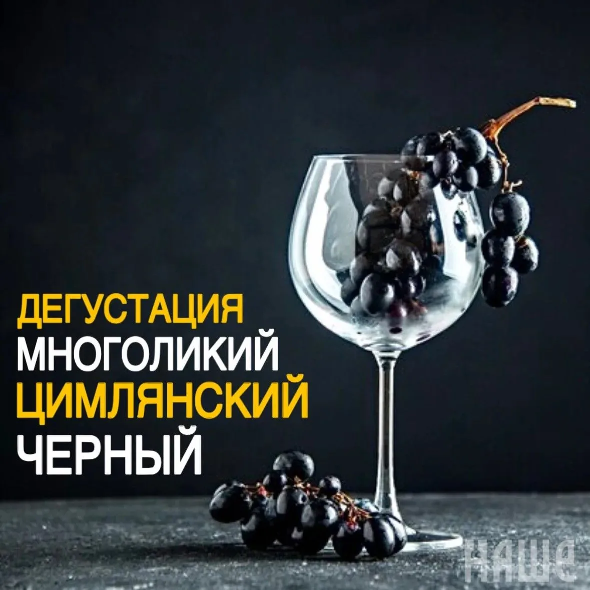 Дегустация «Многоликий Цимлянский черный»