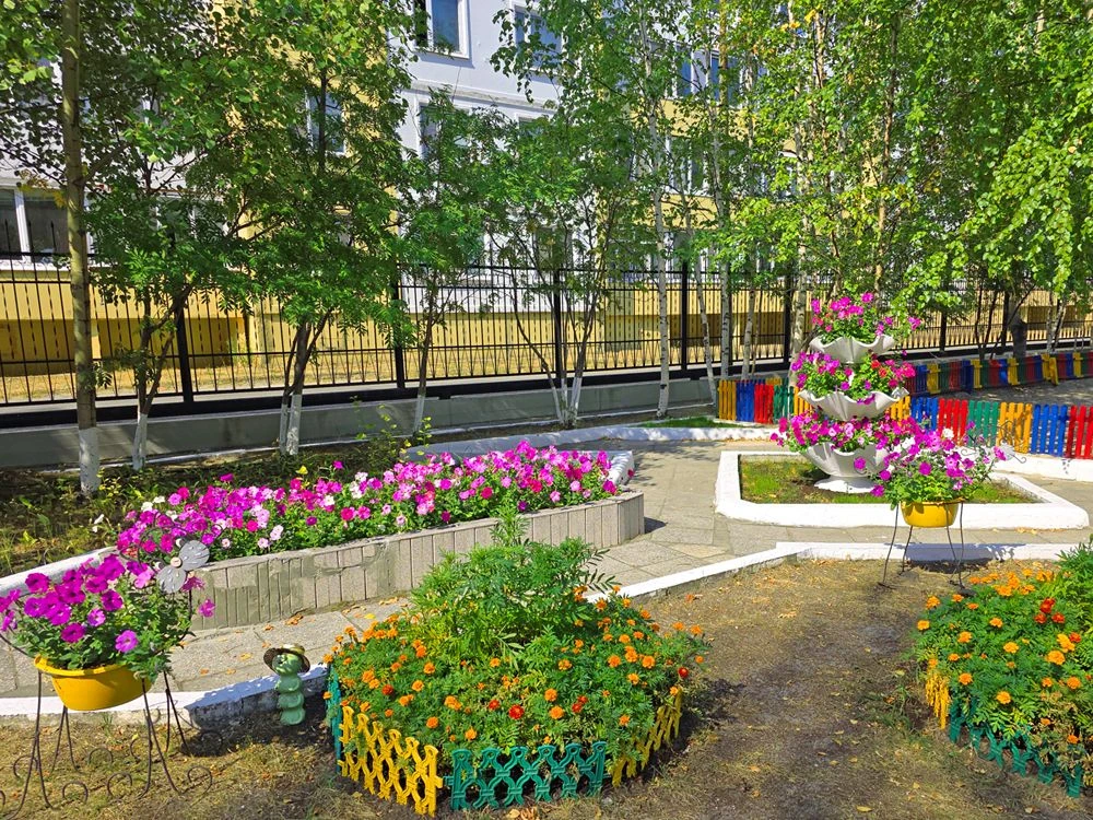 🌷 РАСТИ РОСТОК, ЦВЕТИ ЦВЕТОК! 🌿