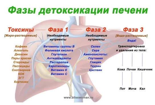 «Что делать?»