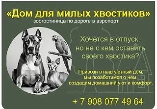 «Дом для милых хвостиков» — Ваш отпуск без нервов, а у питомца — свой курорт 🐾
⠀
Друзья! 
Мы рады а