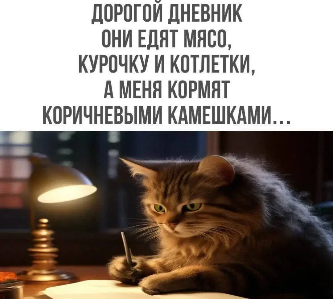 Женский юмор - Подписаться