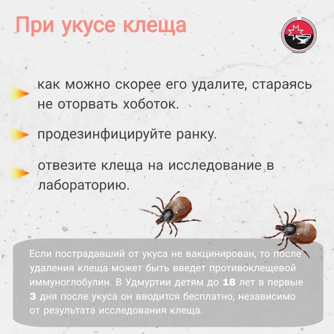 🌳По данным Управления Роспотребнадзора по УР, с начала 2026 года зарегистрировано 24 с...