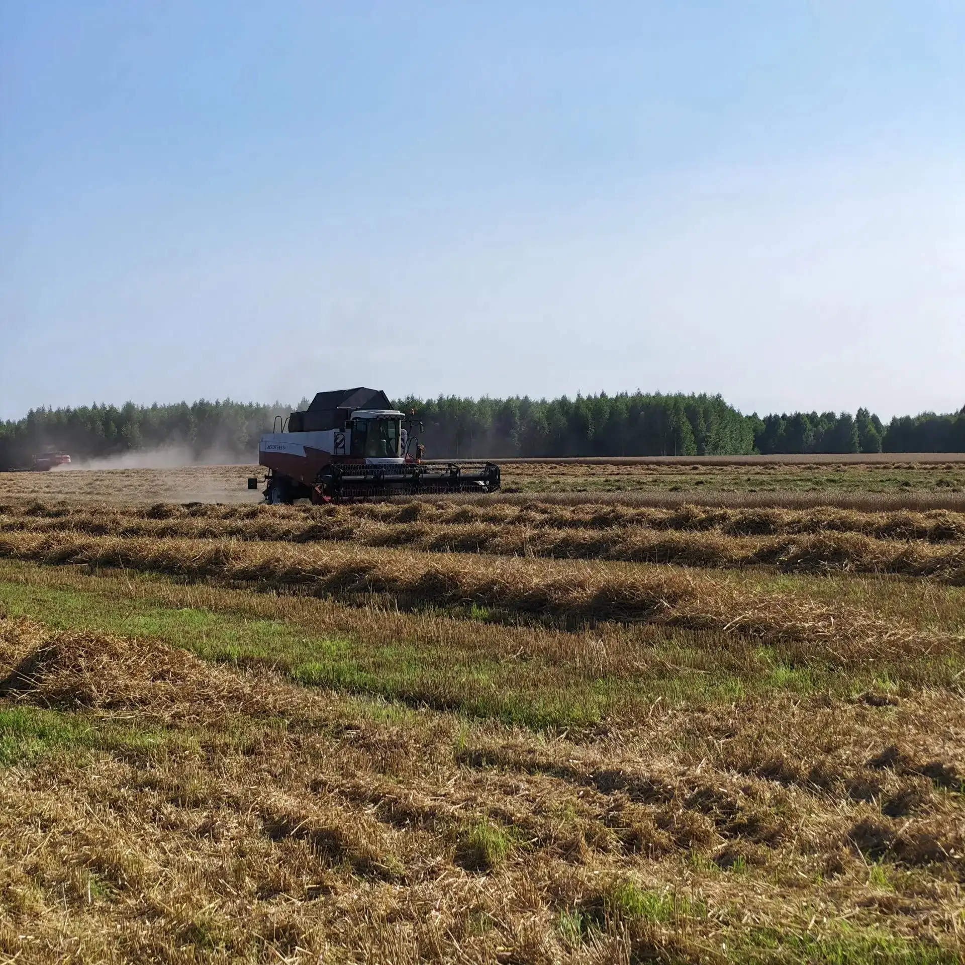 🚜 Уборочная страда в СХПК «Салтыково» в самом разгаре! 🌾
