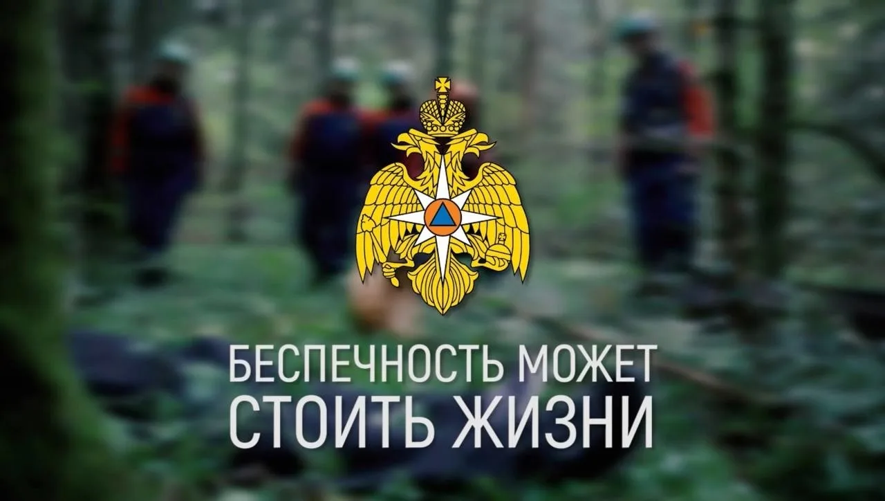 ❗ОНДиПР Гатчинского округа призывает: отправляясь в лес, не забудьте о безопасности!