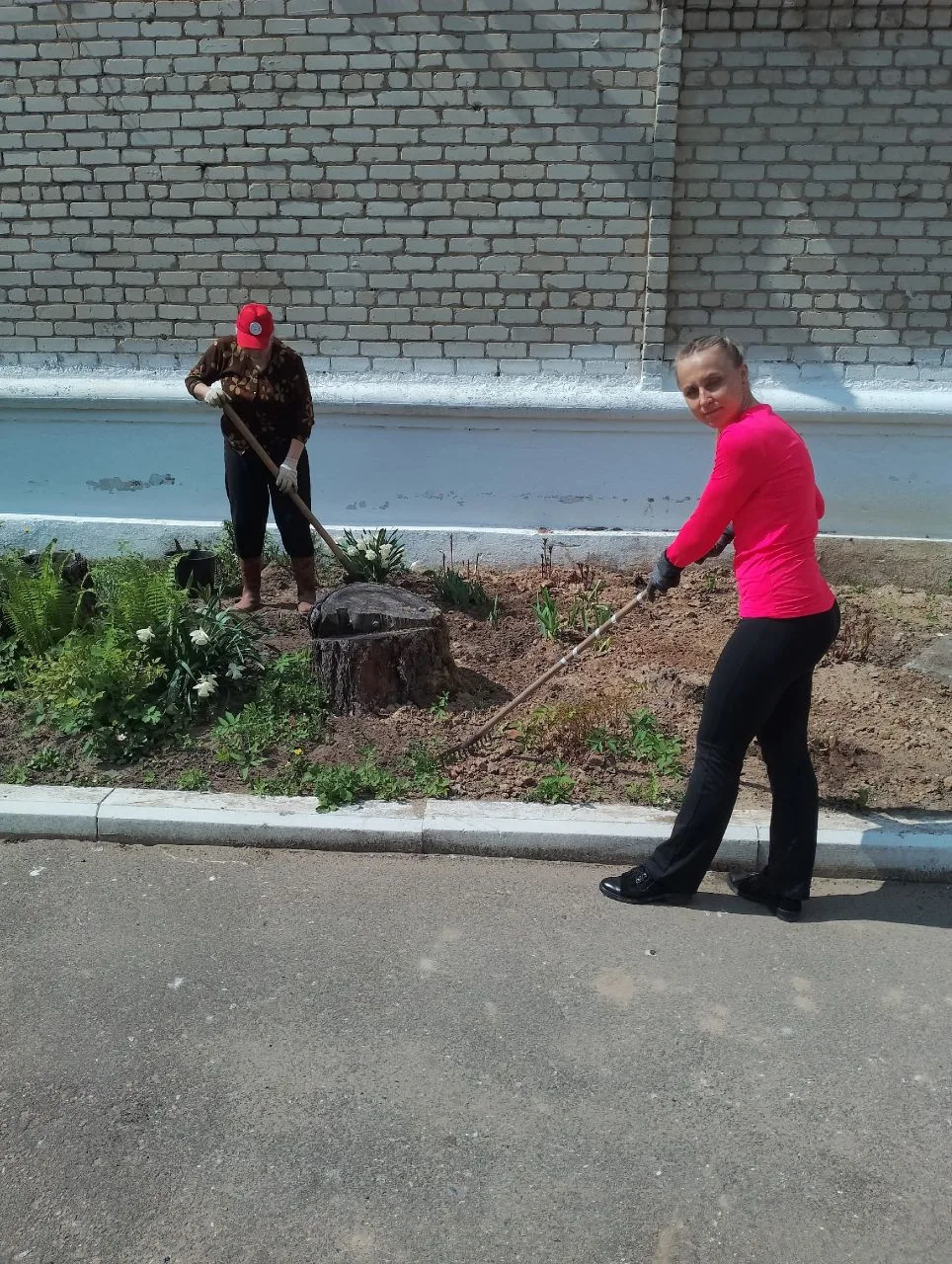 Акция "Зелёная клумба" проходит в Каменниковскои доме культуры вторую неделю. Надеемся,...