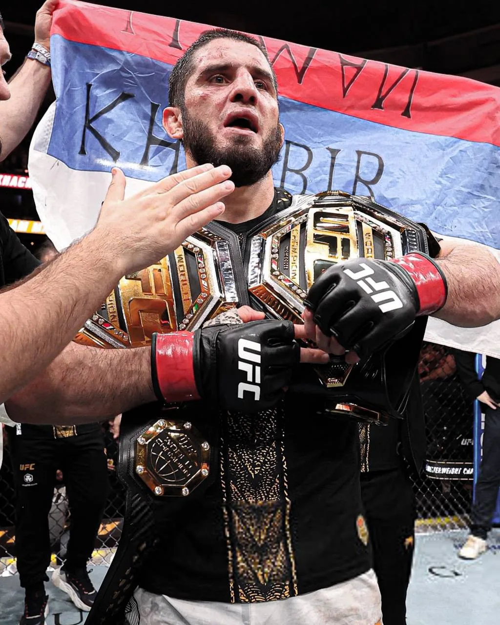 Изображение 1 к публикации «UFC»
