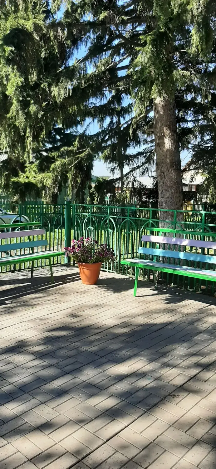 #МКОУШипуновскаяСОШимениВСГаврилова