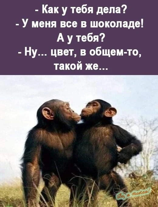 Коротко и понятно 🧐