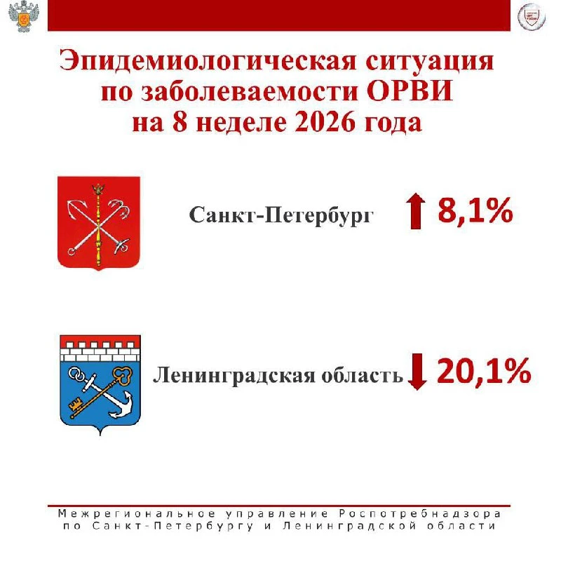 Об эпидемиологической ситуации в Санкт-Петербурге и Ленинградской области
