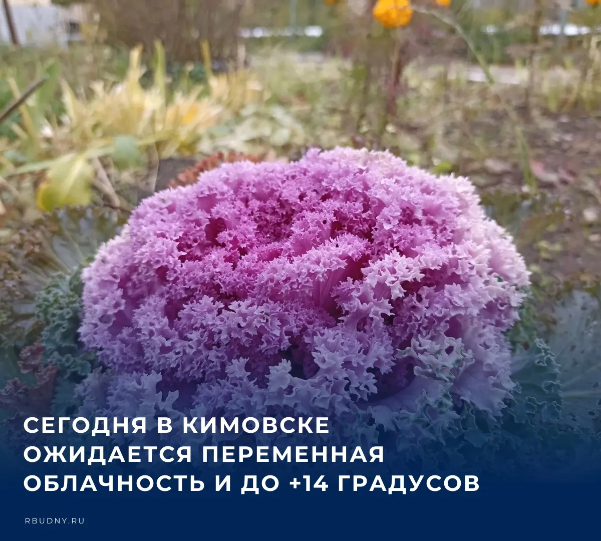 🌤️ Прогнозом погоды на 8 октября делится пресс-служба регионального Главного управлени...