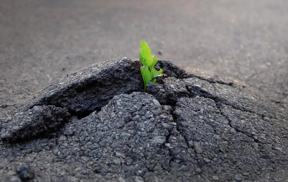 Утренняя мотивационная цитата.